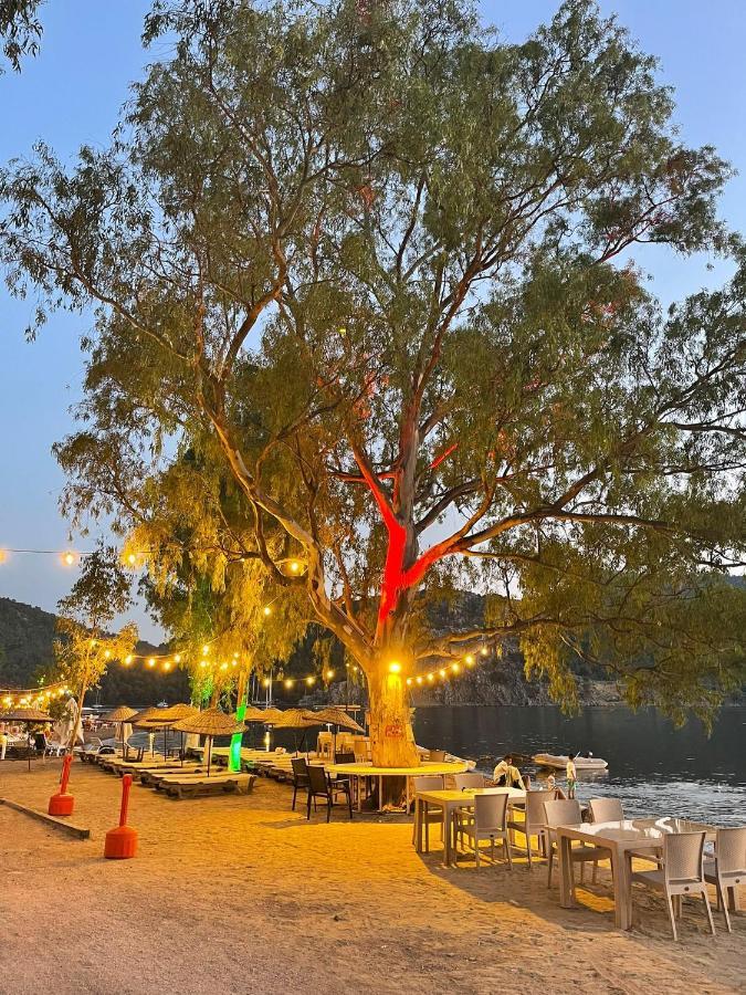 Marimare Beach&Bungalow Marmaris Bagian luar foto
